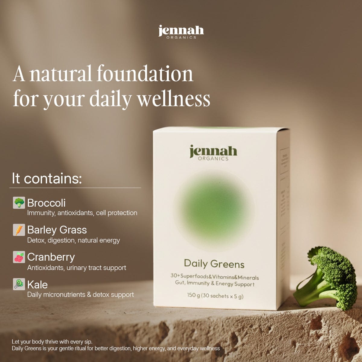 Daily Greens | 20+ Superfoods, Prebiotics & Postbiotics in One Stick