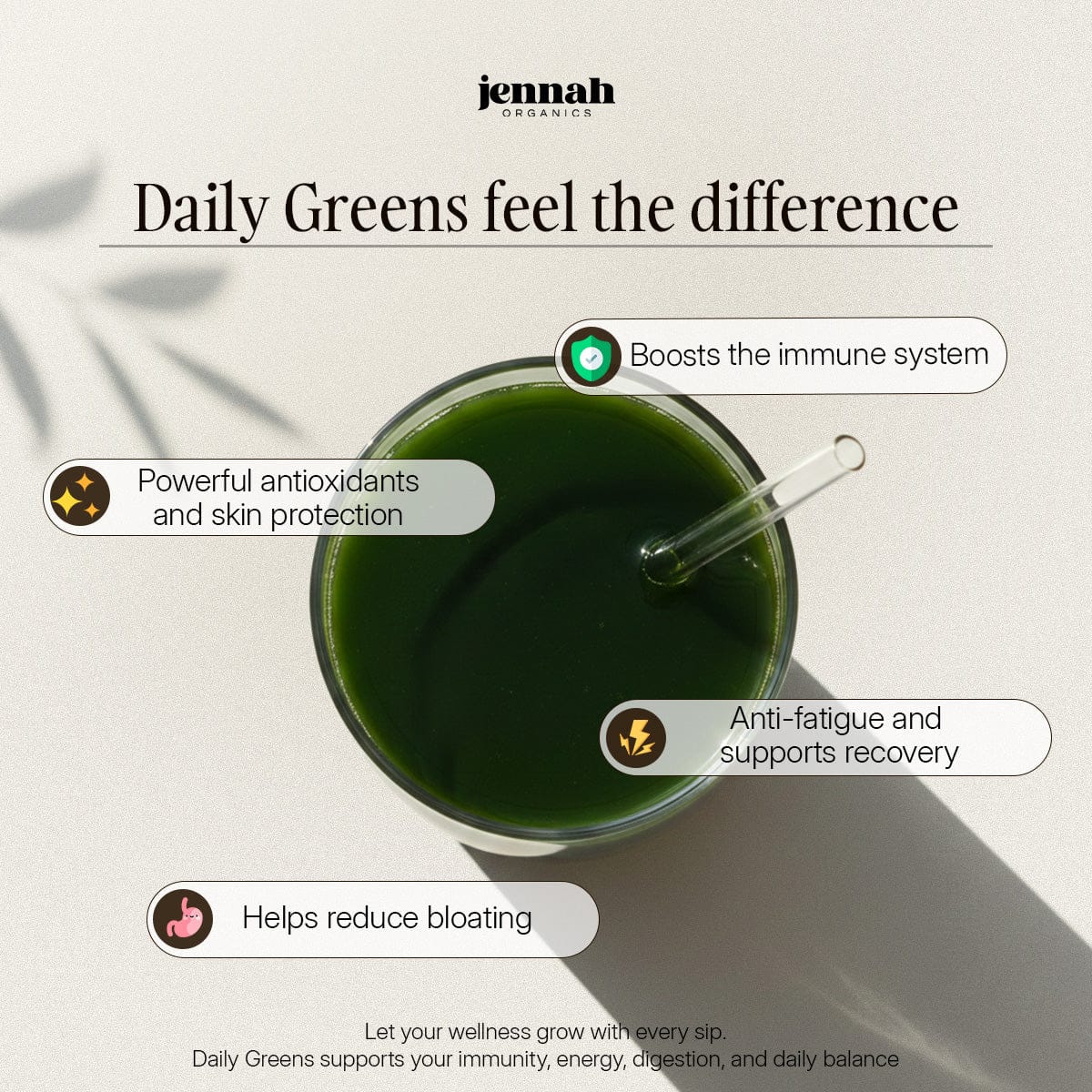 Daily Greens | 20+ Superfoods, Prebiotics & Postbiotics in One Stick