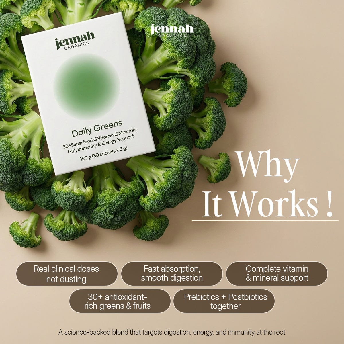 Daily Greens | 20+ Superfoods, Prebiotics & Postbiotics in One Stick